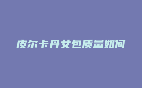 皮尔卡丹女包质量如何