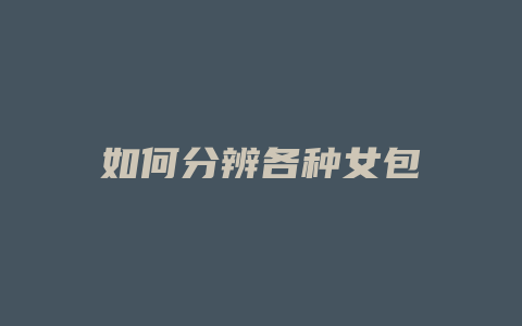 如何分辨各种女包
