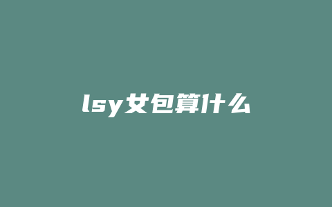 lsy女包算什么