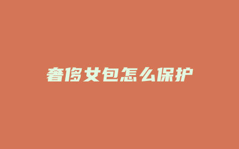 奢侈女包怎么保护