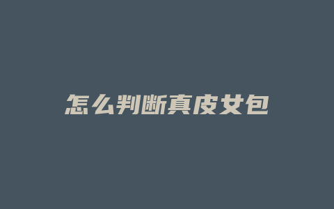 怎么判断真皮女包
