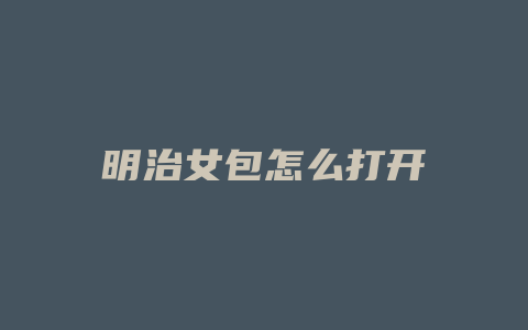 明治女包怎么打开