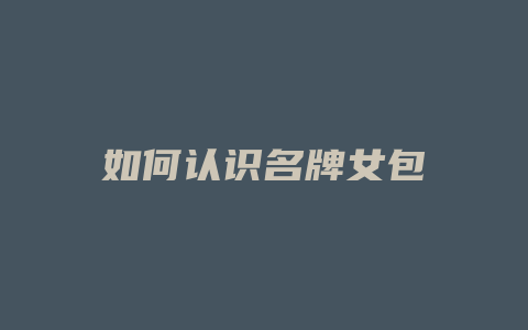 如何认识名牌女包