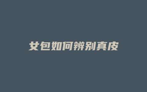 女包如何辨别真皮