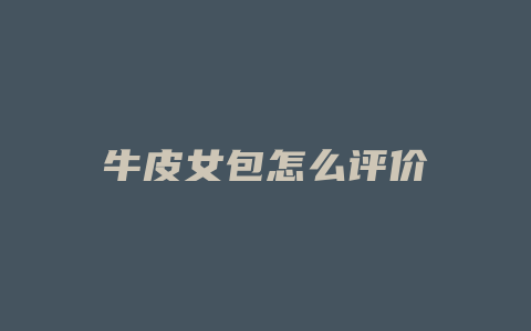牛皮女包怎么评价