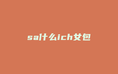 sa什么ich女包
