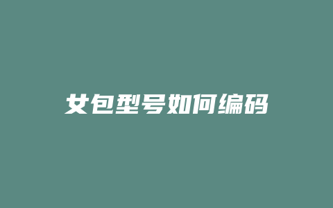 女包型号如何编码