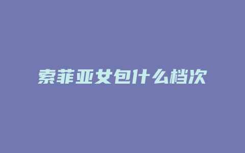 索菲亚女包什么档次