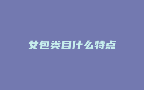 女包类目什么特点