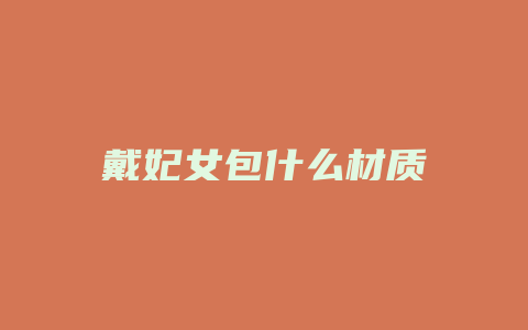 戴妃女包什么材质