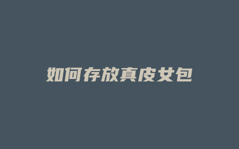 如何存放真皮女包