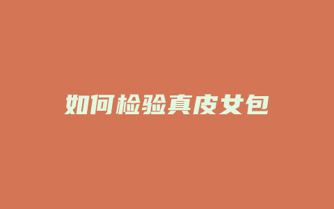 如何检验真皮女包