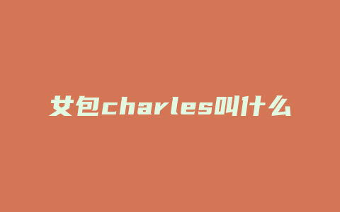 女包charles叫什么