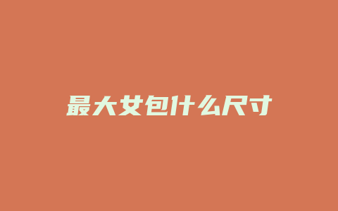 最大女包什么尺寸