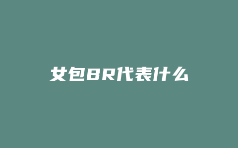 女包BR代表什么
