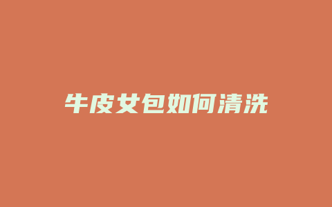 牛皮女包如何清洗