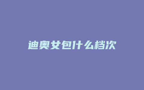 迪奥女包什么档次