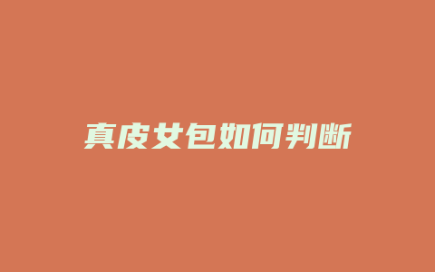 真皮女包如何判断