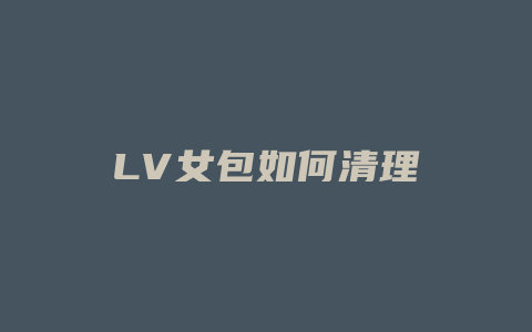 LV女包如何清理