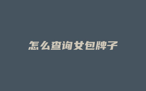 怎么查询女包牌子