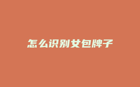 怎么识别女包牌子