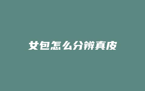 女包怎么分辨真皮