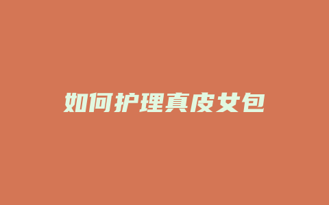 如何护理真皮女包