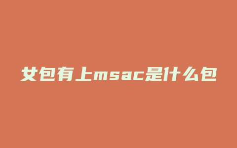 女包有上msac是什么包