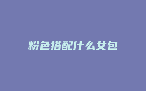 粉色搭配什么女包