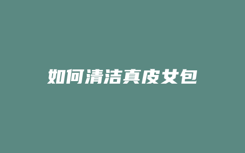 如何清洁真皮女包