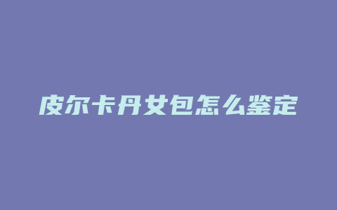 皮尔卡丹女包怎么鉴定