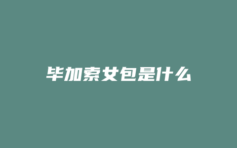 毕加索女包是什么