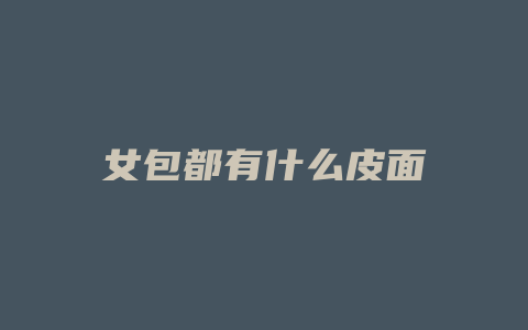 女包都有什么皮面
