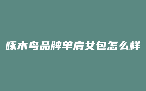 啄木鸟品牌单肩女包怎么样