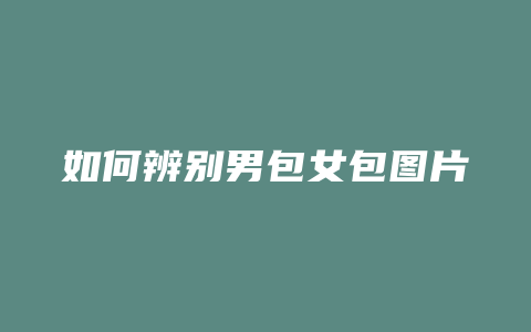 如何辨别男包女包图片