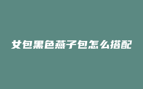 女包黑色燕子包怎么搭配