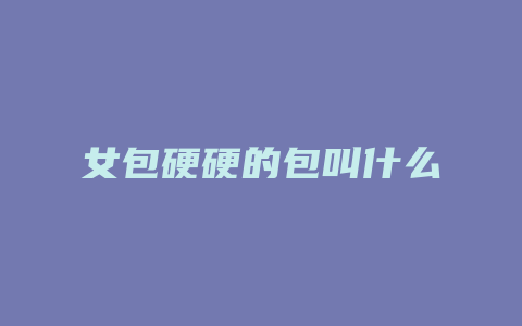 女包硬硬的包叫什么