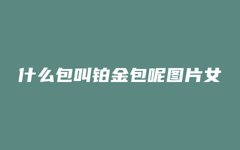 什么包叫铂金包呢图片女