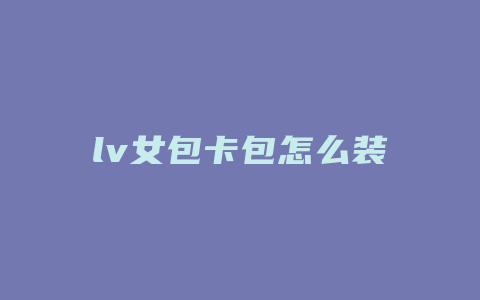 lv女包卡包怎么装