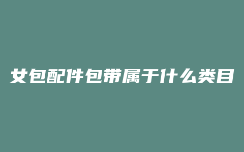 女包配件包带属于什么类目