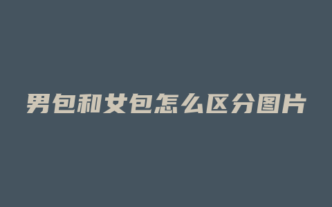 男包和女包怎么区分图片