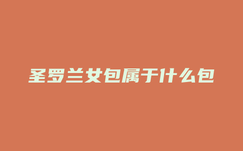 圣罗兰女包属于什么包