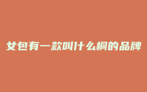 女包有一款叫什么桐的品牌