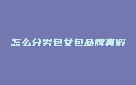 怎么分男包女包品牌真假