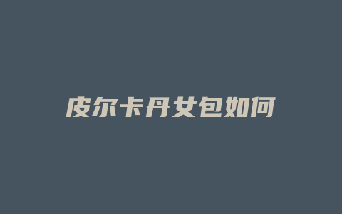皮尔卡丹女包如何