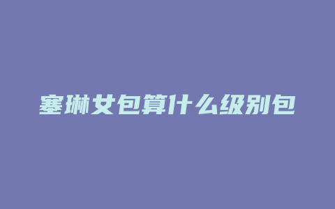 塞琳女包算什么级别包
