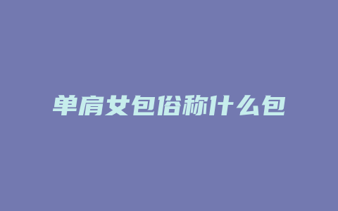 单肩女包俗称什么包