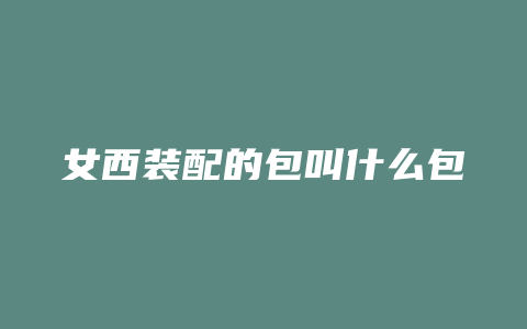 女西装配的包叫什么包
