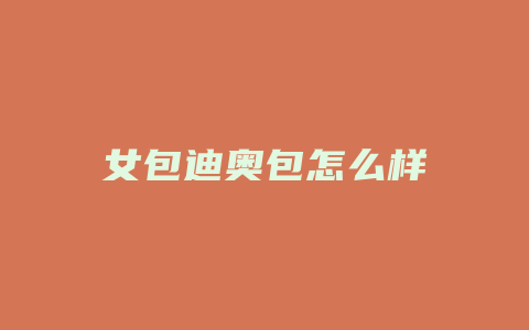 女包迪奥包怎么样