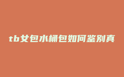 tb女包水桶包如何鉴别真假